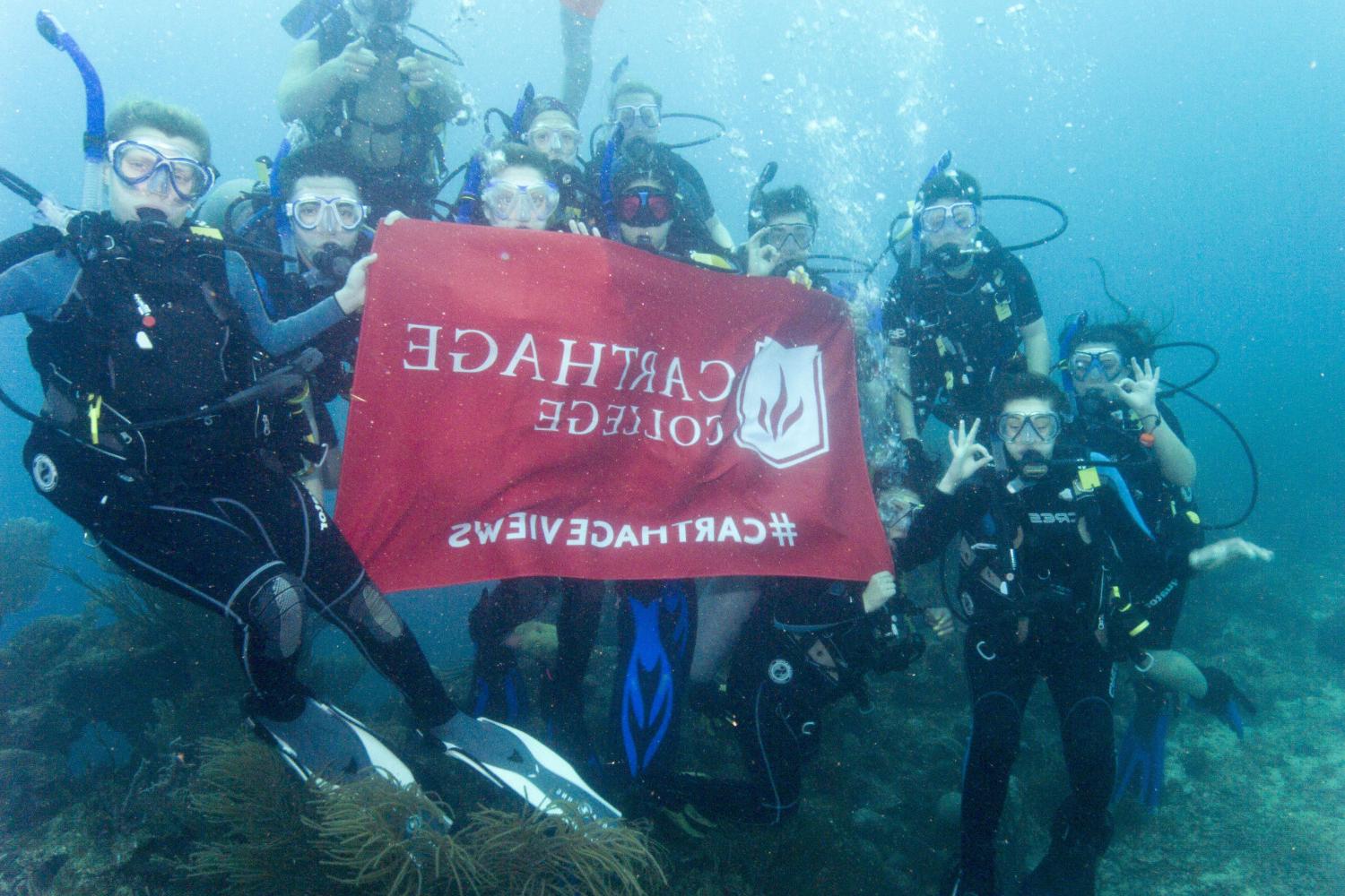学生们手持<a href='http://9few.sundayhouse.net/'>bv伟德ios下载</a>旗帜，在j学期洪都拉斯游学之旅中潜水.